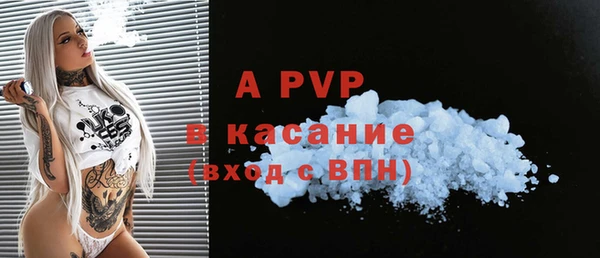стафф Арсеньев