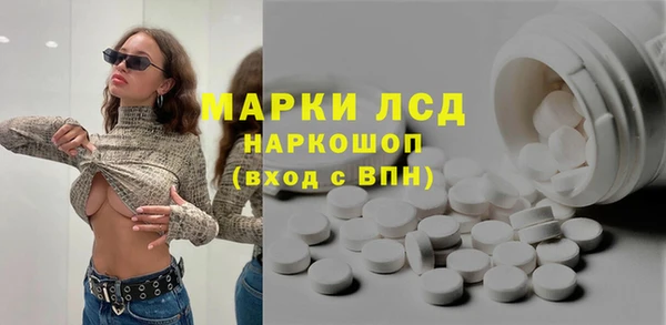 стафф Арсеньев