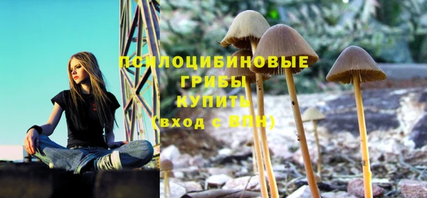 спайс Аркадак